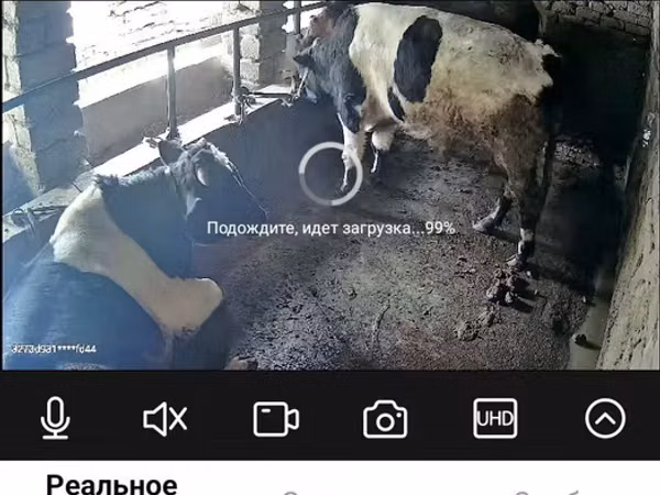 Ат, Аттар — Өзбекстан