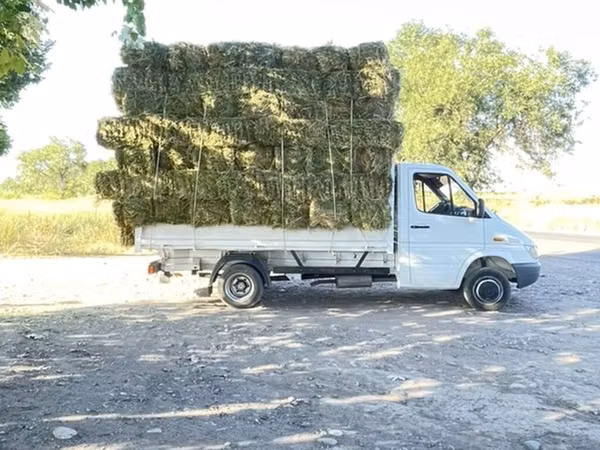 Горный сено Клевер☘️ +ДОСТАВКА