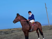Caballo, Kustanai horse — foto 3