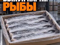Баранина - истекающий/вышедший срок — Foto 4