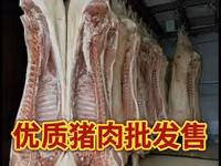 Продажа мясо свинины 猪肉批发及零售 Есть все всегда в наличии. мясо свинина — Foto 2