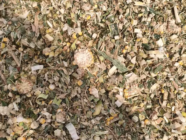 Продаю силос в рулонах 10 сом. Васильевкада