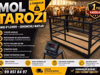 Chorva mol tarozi bor sotiladi — फ़ोटो 2