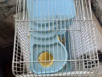 Hamster və balaca gəmiricilər üçün qəfəs - Rəng: açıq mavi plastik — сүрөт 3