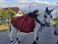 Yegua, Caballos — foto 6