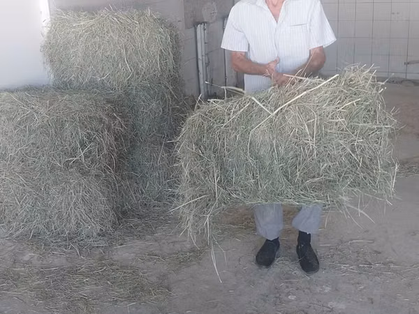 Хашак прес сотилади