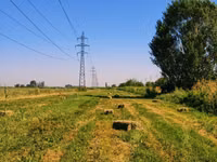 Продаём тюки РАЗНОТРАВЬЯ Укос: 3 укос 2026 год Кол-во: ~250 штук — 1-rasm