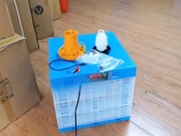192 Eggs Fully Automatic AC/DC Poultry Incubator — сүрөт 2