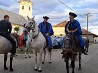 Yegua, Caballos — foto 8