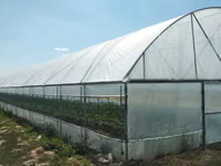 Vindem constructie module de sera solar cu pereti drepti — Foto 4