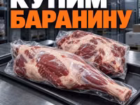 Свинину оптом, некондицию и остатки — Foto 2