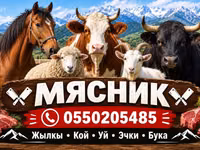 Услуги мясника/касатчы для забоя и разделки скота на выезде. Работаем — 照片 1