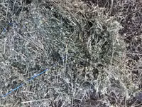 Lucernă — 照片 2