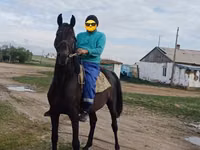 Ат, Аттар — сүрөт 1
