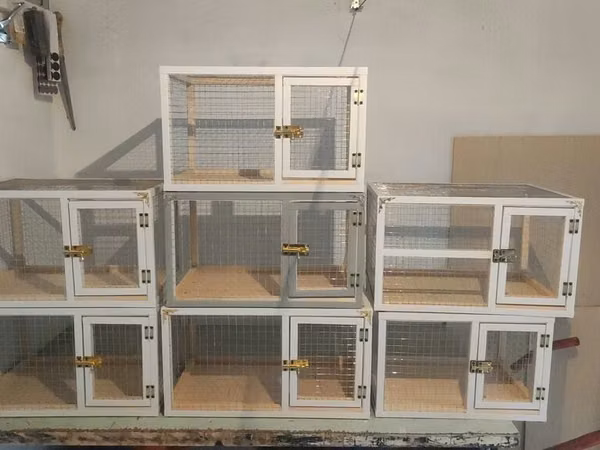 Dovşan,cücə,pişik,hamster,quş ve s kimi ev heyvanlari üçün qəfəsler