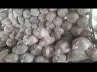Թեփ, փայտի թեփ / апилка — Foto 1