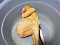 Chickens — الصورة 7