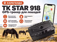 GPS трекер для лошадей. Жпс жылқыға — Foto 2