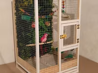 Papuqay,dovşan,hamster,şinşila,bildirçin,cücə,xamyak,pişik,quş,tısbağa — сүрөт 2
