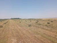 Продаю клевер в тюках второй.третий укос330с.первый укос 350с — 照片 4