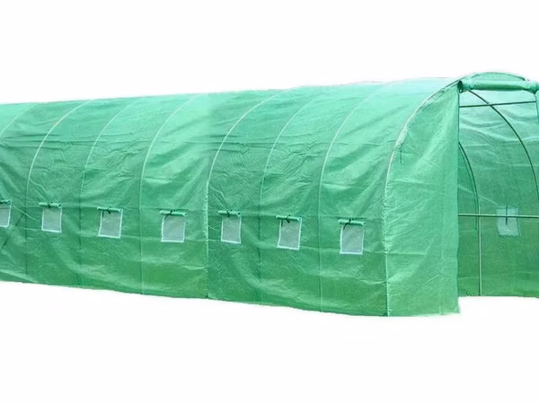 Sera Tip Tunel 8X3X2.5 M - 37 - livrare / credit / agroteh
