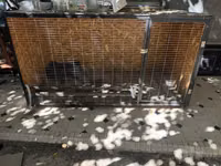 Chickens — 4-сурет