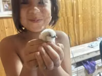 Silkie — photo 5