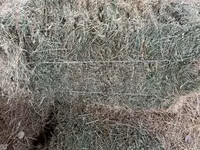 Таза Тоо чоп 250сом с доставкой))сы ичинде бишкек дача суу ысык ата — फ़ोटो 3
