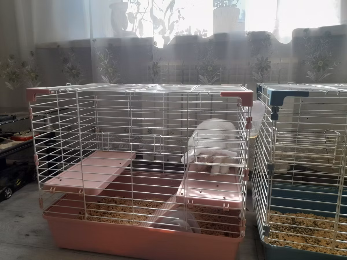 Продам сетку для кролика.