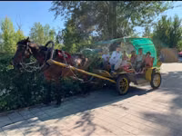 Caballo, Caballos — foto 7