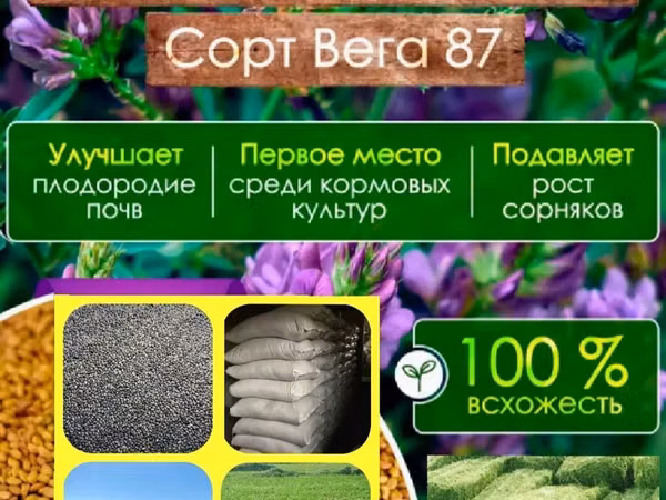 Гарантия качества! Советская технология выращивания и очистки!