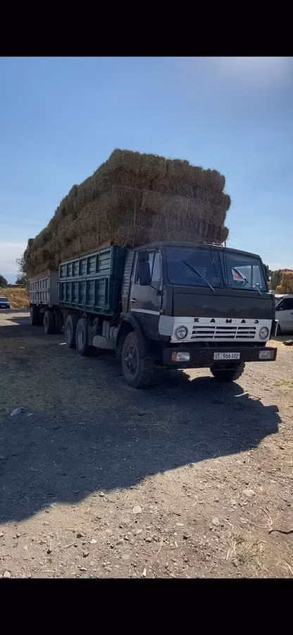 Кастра зеленая тюк хороший плотный
