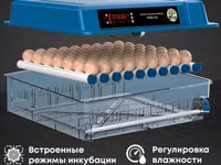 Инкубатор на 64 куриных яйца. очень качественный. вывод отличный два — الصورة 1