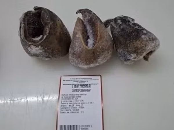 Губы говяжьи замороженные