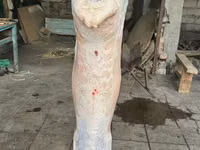 ХАЛАЛ ХАЛАЛ ХАЛАЛ Тушка баранины (целиком,) Правлю барашка туша мясом — الصورة 1