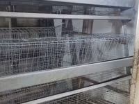 Многоярусные клеточные батареи для содержания и яйцекладки — 2-rasm