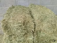 Сено в тюках (прямоугольные кипы) - Натуральная травяная заготовка — сүрөт 3