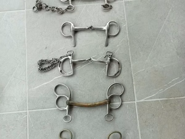 فرس, الخيول