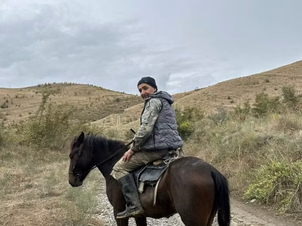 Hengst, Azerbaijan horse