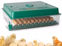 Incubator De Oua Des Champs Eco Profi C-70 - 7k - livrare/achitare in 4rate la 0% / agroteh — 照片 5