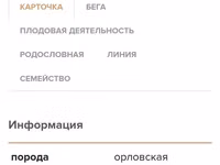 فرس, Orlov Trotter — الصورة 4