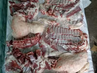 Carnero, Rhon sheep — foto 2