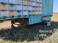 Продаю: Пчеловагон ( цех по производству меда) на 72 семьи (полная — Foto 2