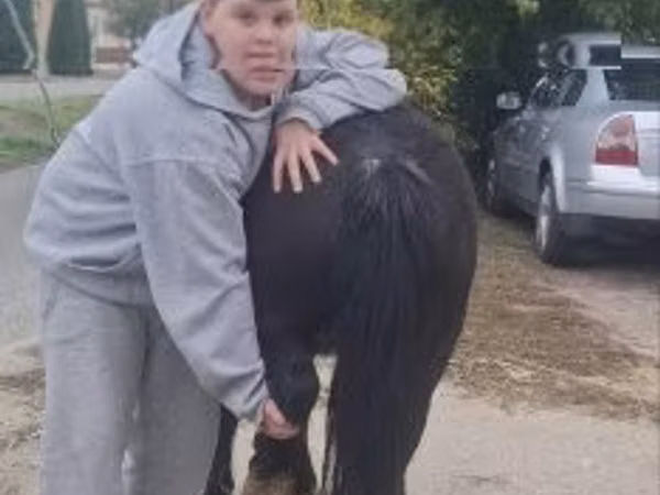 Mare, Horses