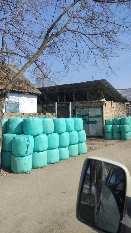 Силос хорошего качества 6 сом в бабинах село Александровка