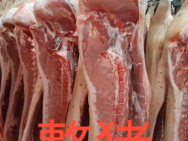 Свинина оптом — полутуши и разделка 批发猪肉 整猪 猪胸肉 猪耳 猪腿肉 猪胃肉 猪心 猪舌 -