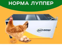 Российский инкубаторлор: Норма луппер 72. Норма парка 120. Норма — 2-rasm