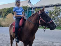 Caballo, Vladimir heavy draft — foto 8