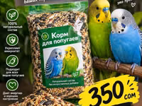 Коом для попугаев 1 кг 350 с — сүрөт 1
