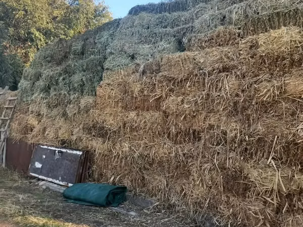 855-857 тюков сена 

Адрес Село учкун